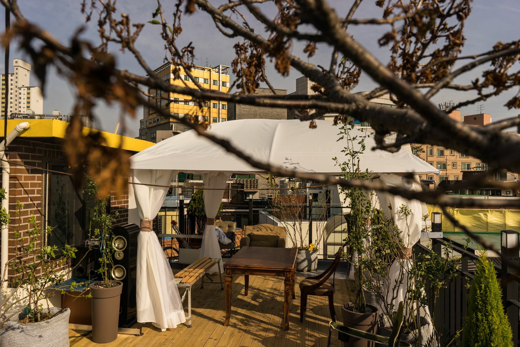 Tetto House Rooftop Garden 서울특별시 외부 사진
