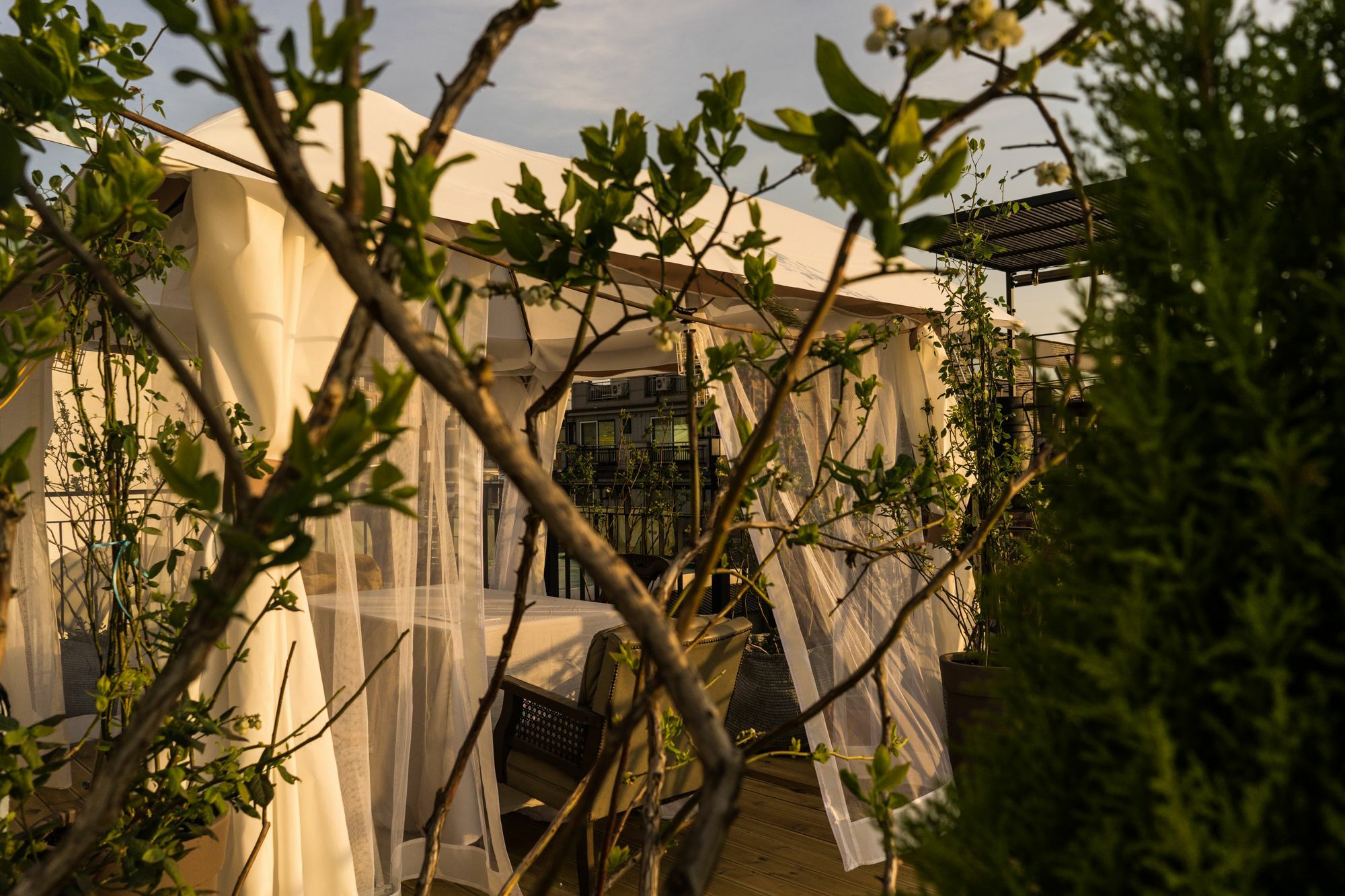 Tetto House Rooftop Garden 서울특별시 외부 사진
