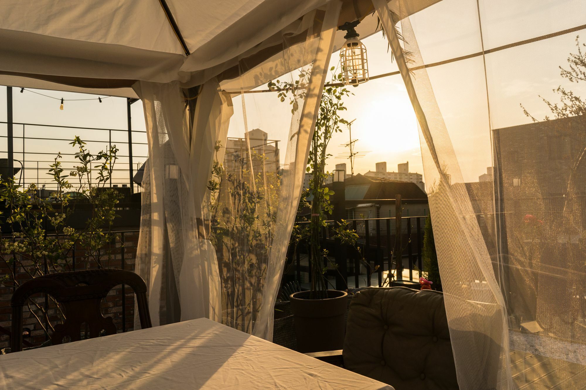 Tetto House Rooftop Garden 서울특별시 외부 사진